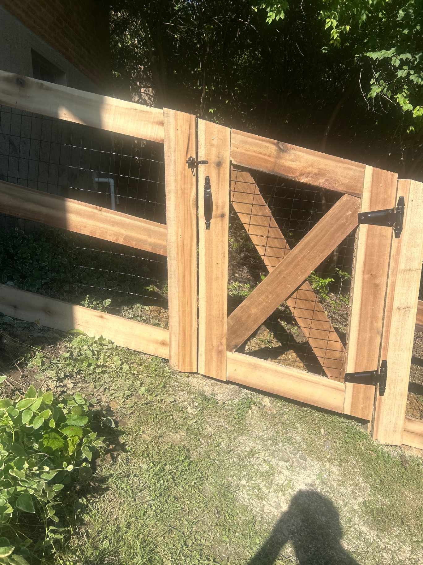 Cedar X-brace gate with wire mesh infill and black gate hardware