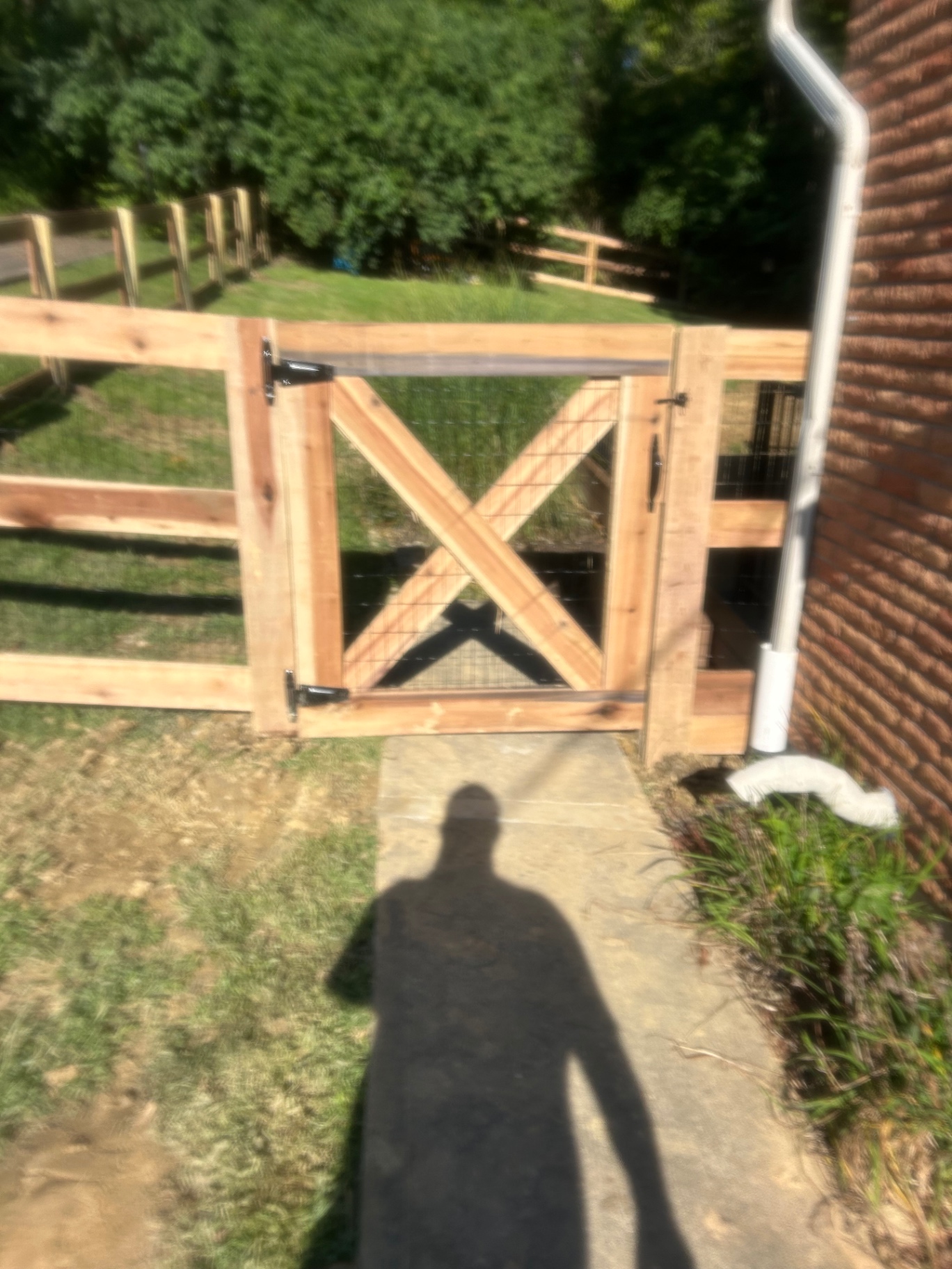 Cedar split-rail fence with wire mesh and a custom X-brace walk gate