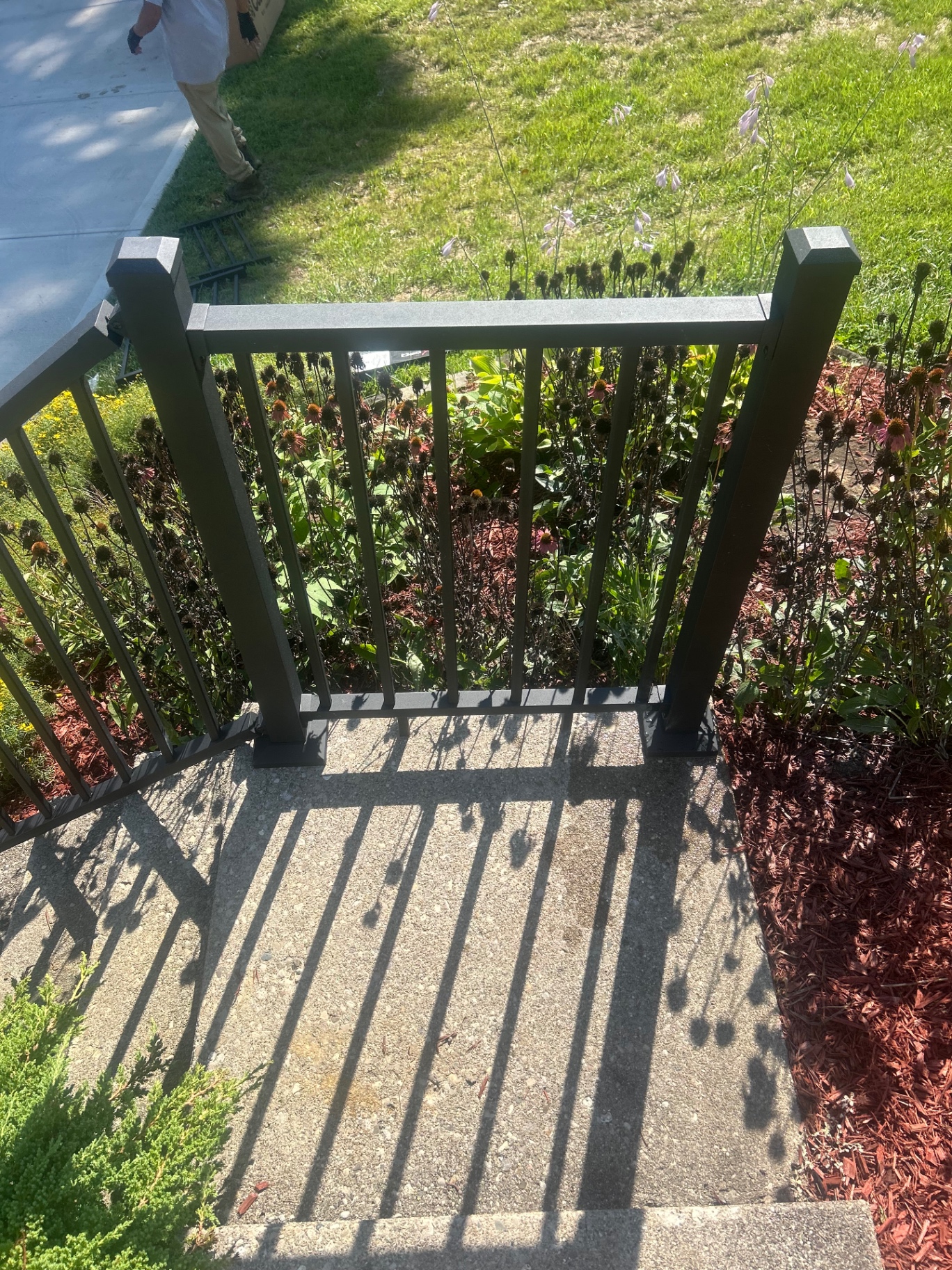 Black aluminum railing installed on concrete entry steps beside garden beds
