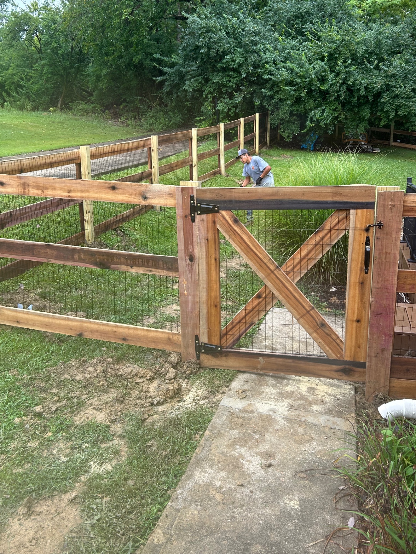 Long cedar split-rail fence line with wire mesh and a stained X-brace gate